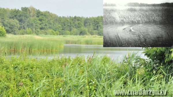 Gdy nie było jeszcze komórek – Grobla plażą Nadarzyna 