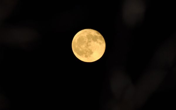 Prognoza pogody na tydzień 18.12 - 24.12.2011 i święta