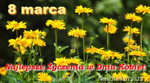 8 marca 2012