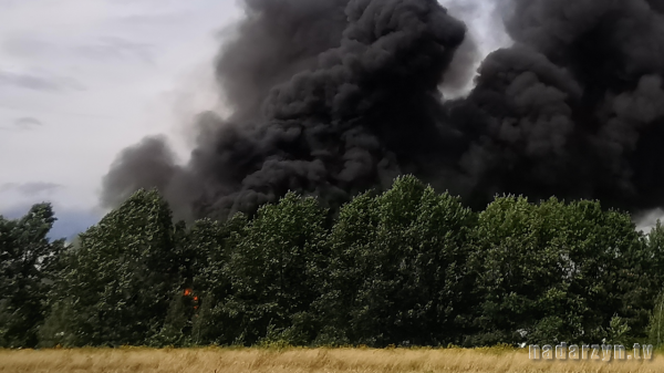 Duży pożar w Żółwinie - Ogień opanowany, nie ma rannych