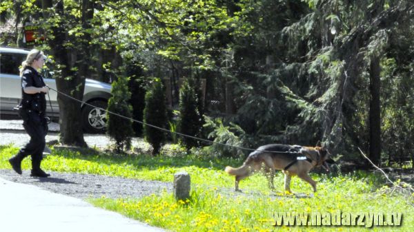 Zaginęła kobieta. Trwają poszukiwania