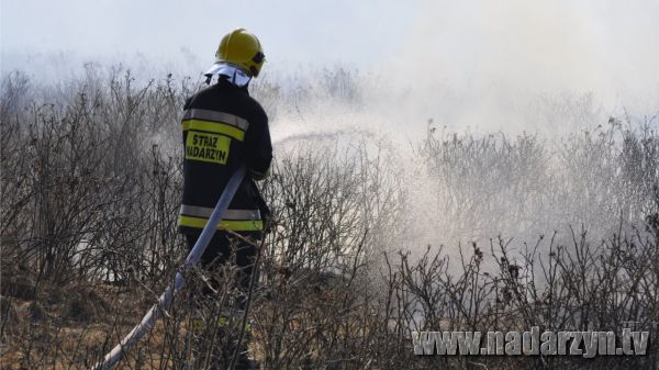 Pożary prawie co dzień !