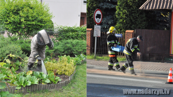 Straż pożarna, to nie tylko wezwania do pożarów i wypadków