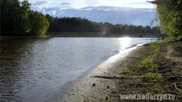 Gdy nie było jeszcze komórek – Grzymek