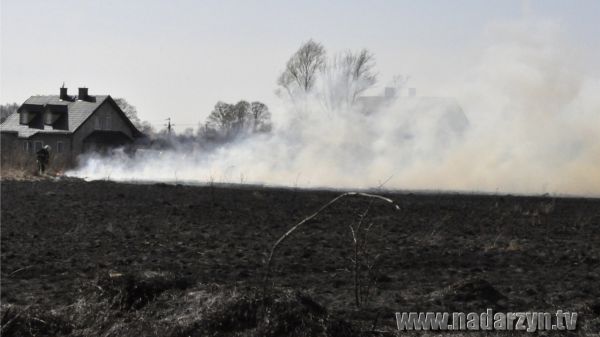 Aż cztery pożary jednego dnia