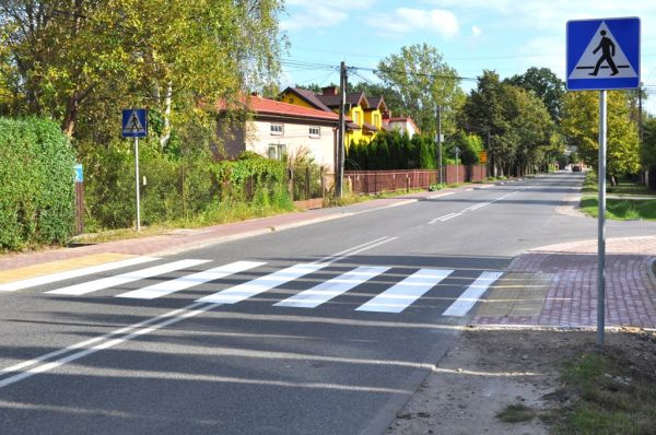 DŁUGO OCZEKIWANA ZEBRA