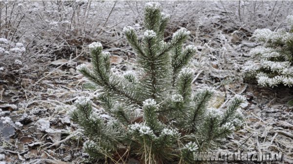 Prognoza pogody na tydzień 21.01-27.01.2012